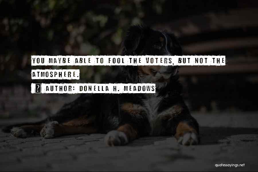 Sustainability Environment Quotes By Donella H. Meadows