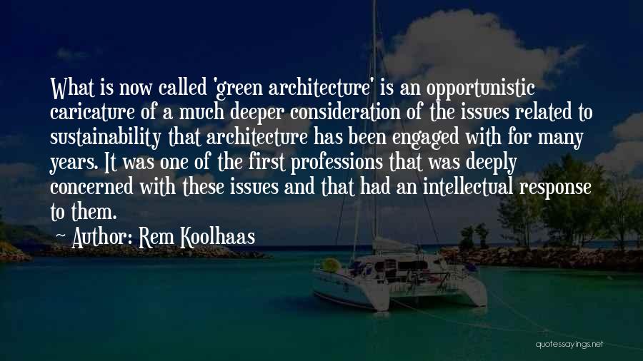 Sustainability In Architecture Quotes By Rem Koolhaas