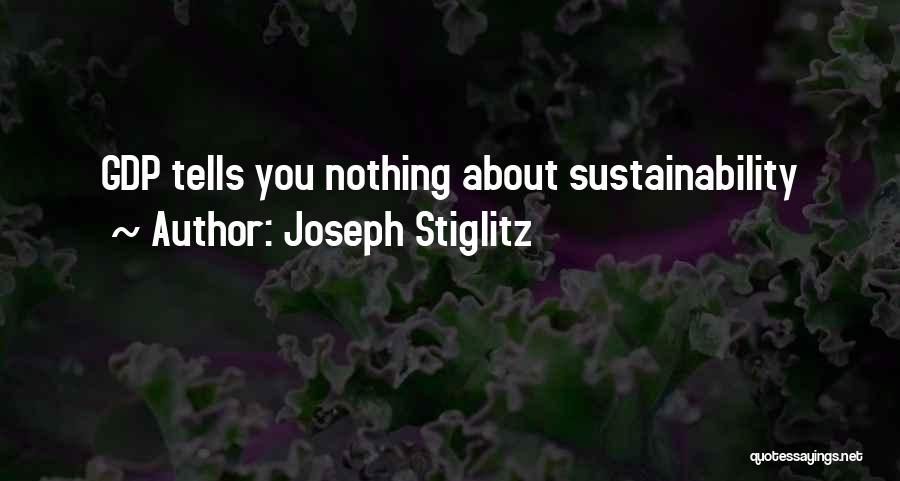 Sustainability Quotes By Joseph Stiglitz
