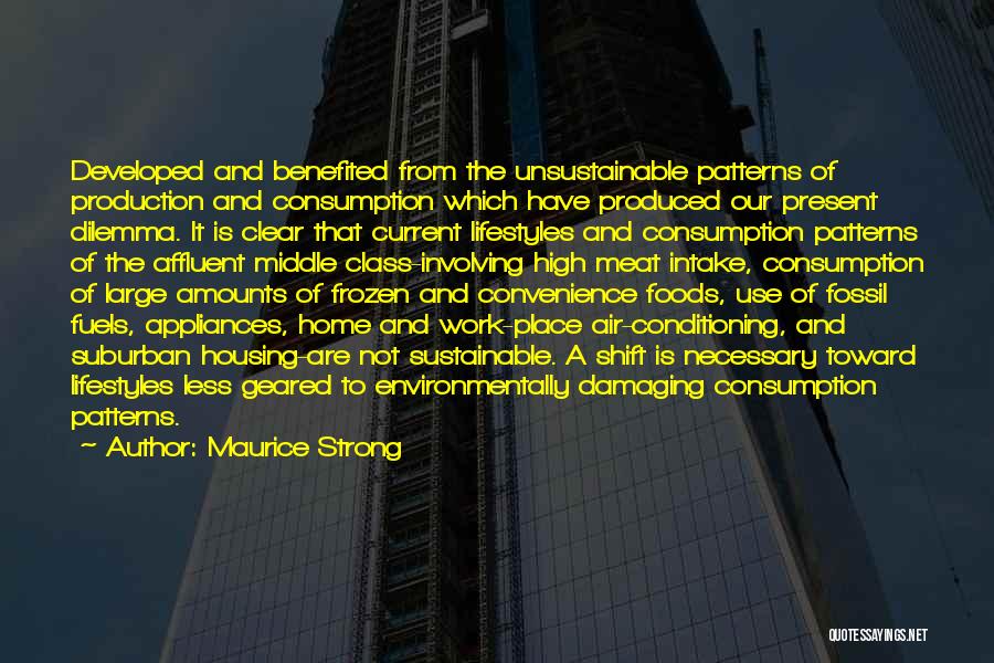 Sustainable Consumption Quotes By Maurice Strong