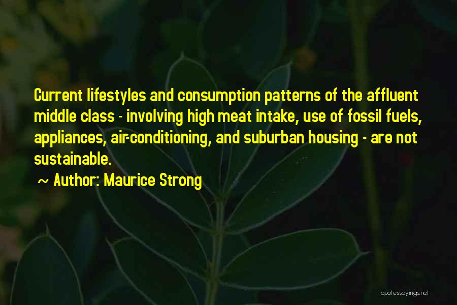 Sustainable Consumption Quotes By Maurice Strong