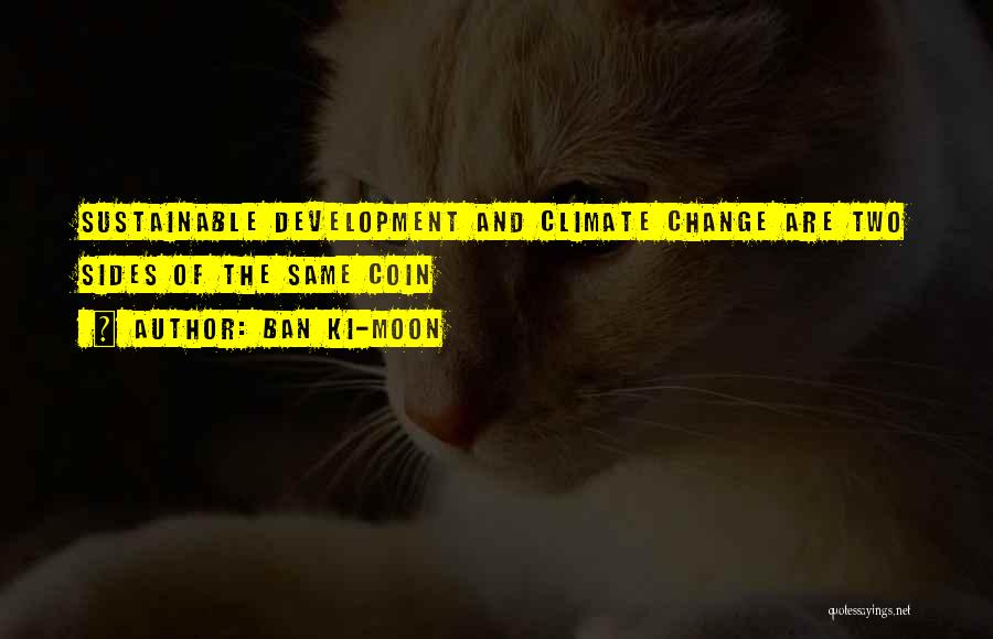 Sustainable Development Quotes By Ban Ki-moon