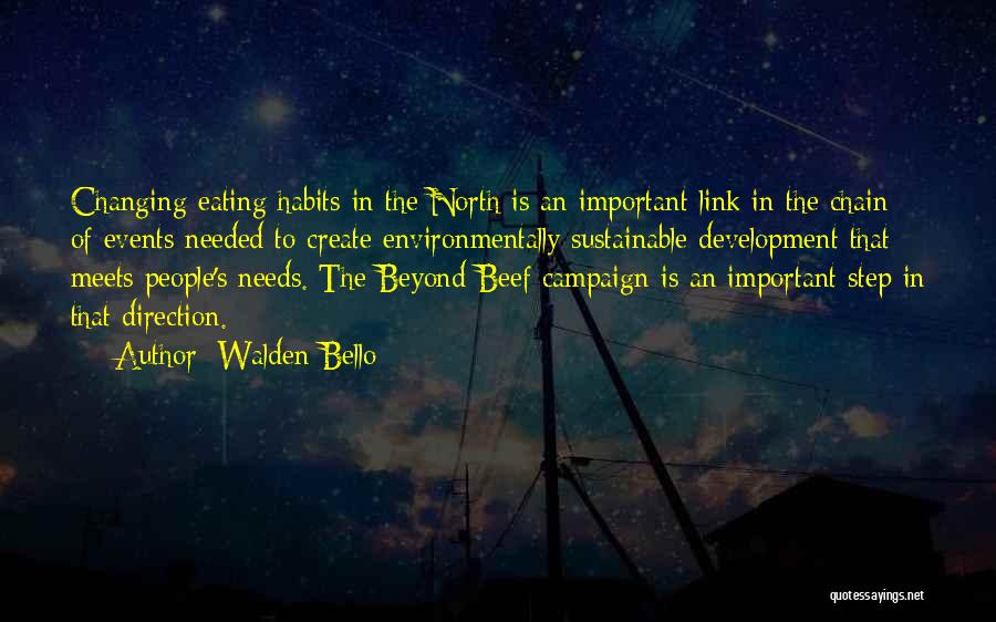 Sustainable Development Quotes By Walden Bello