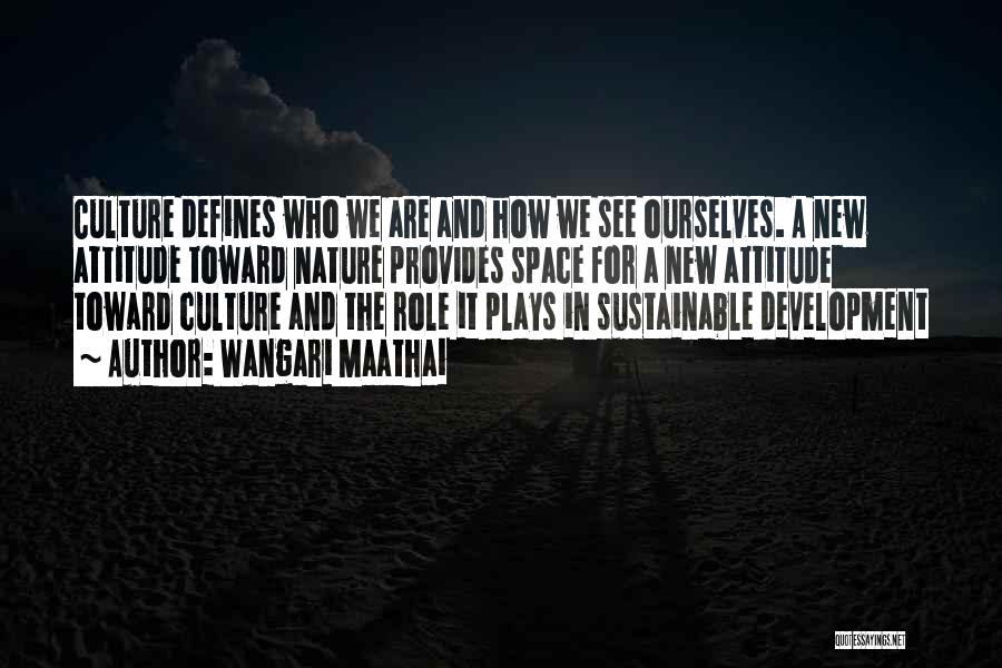 Sustainable Development Quotes By Wangari Maathai