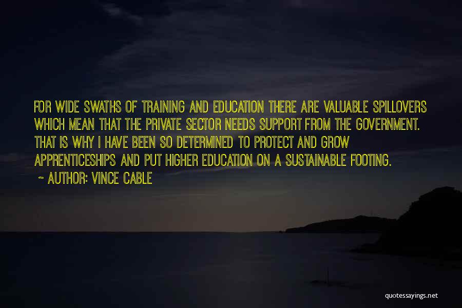 Sustainable Education Quotes By Vince Cable