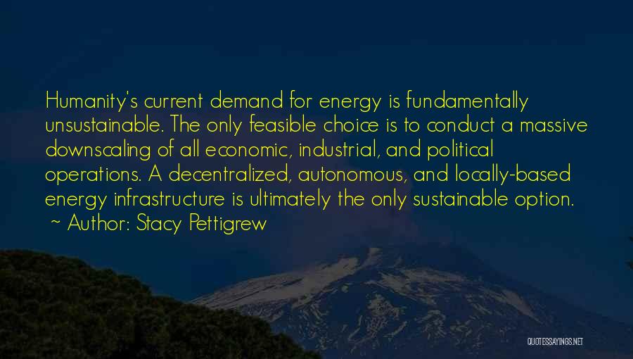 Sustainable Energy Quotes By Stacy Pettigrew