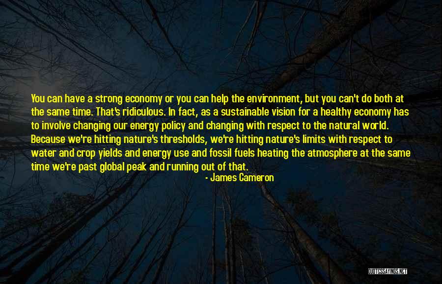 Sustainable Environment Quotes By James Cameron