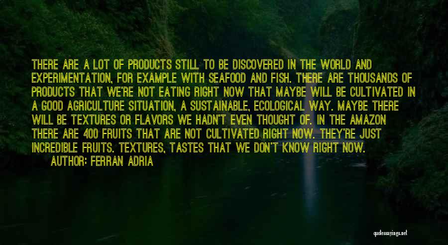 Sustainable Food Quotes By Ferran Adria