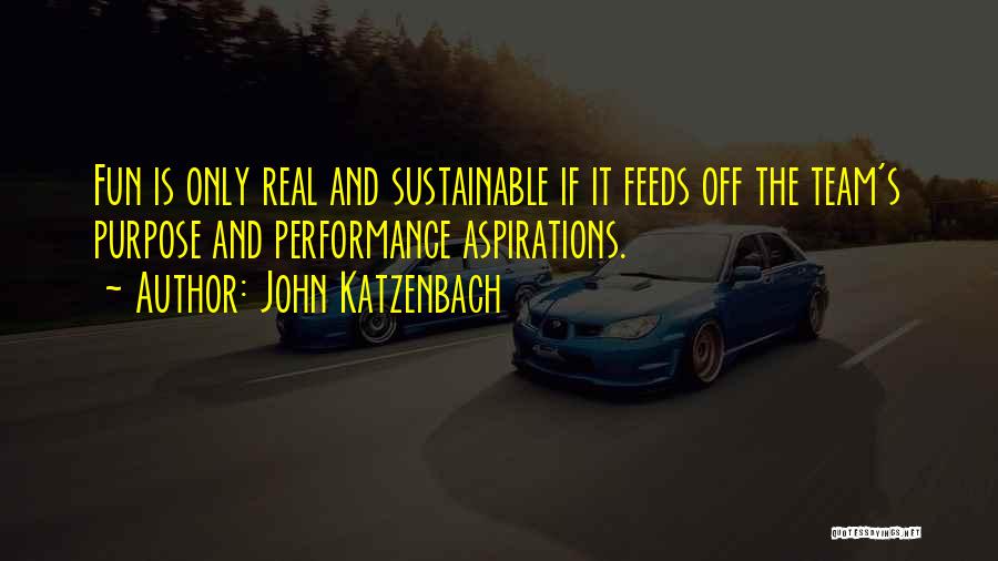 Sustainable Performance Quotes By John Katzenbach