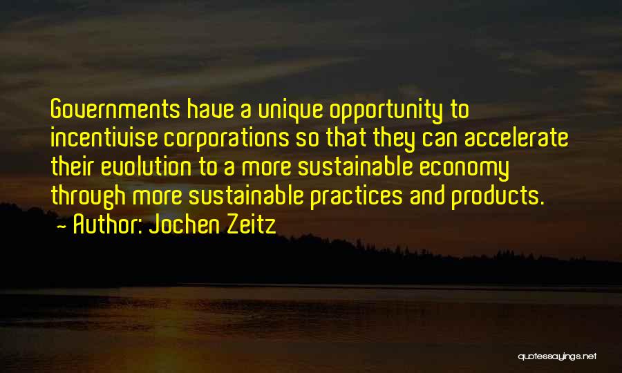 Sustainable Practices Quotes By Jochen Zeitz