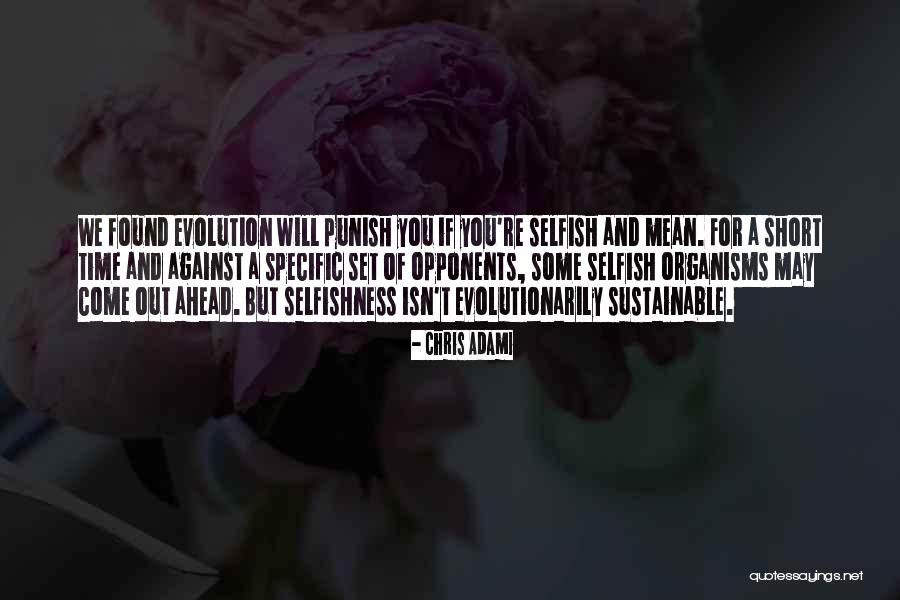 Sustainable Quotes By Chris Adami