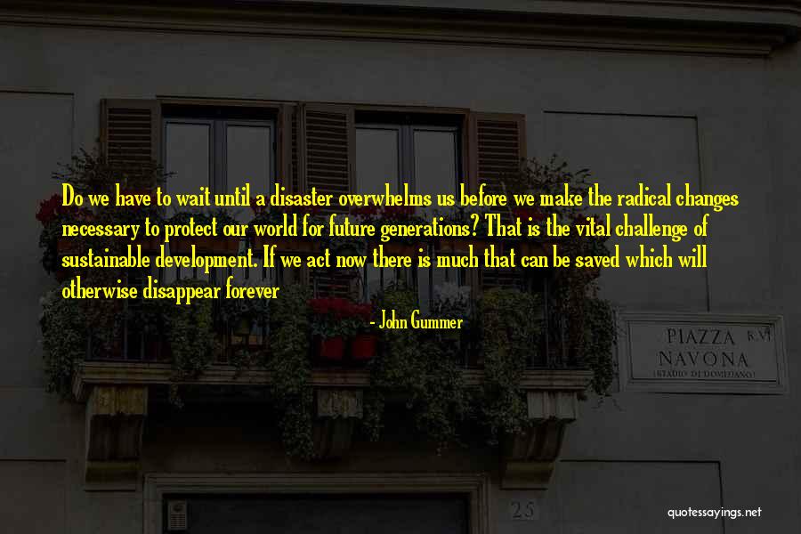 Sustainable Quotes By John Gummer