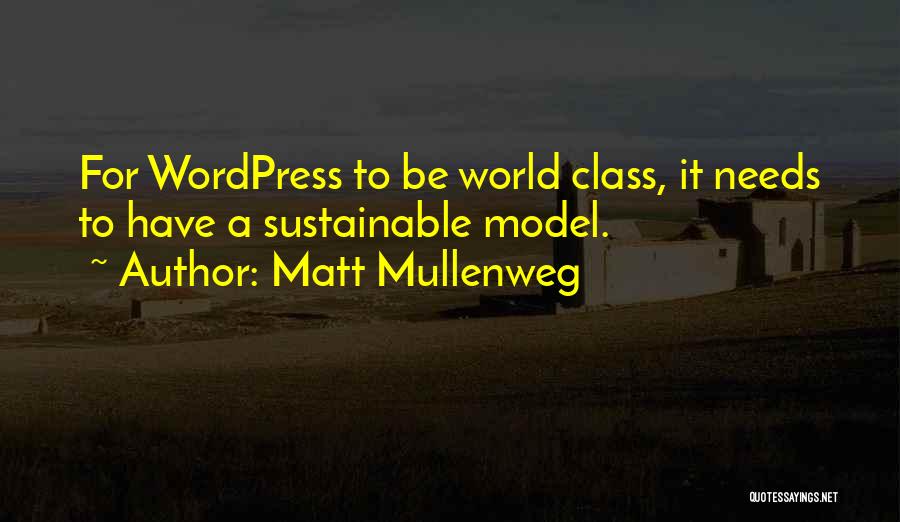Sustainable Quotes By Matt Mullenweg