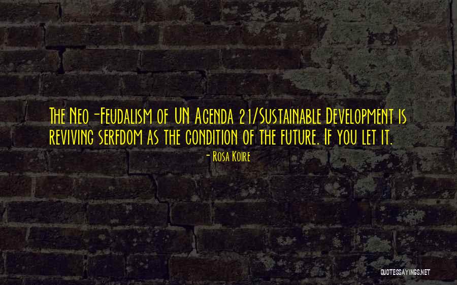 Sustainable Quotes By Rosa Koire