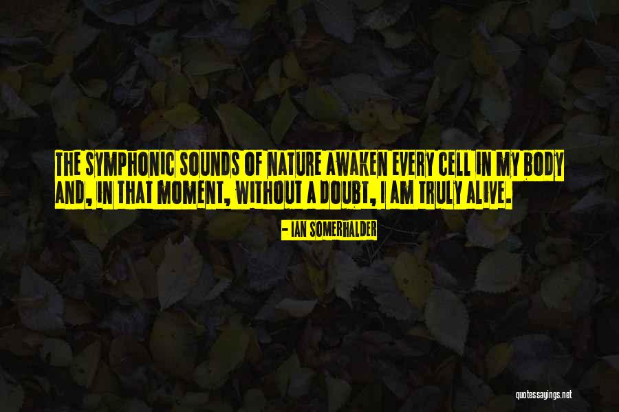 Sustainergy Quotes By Ian Somerhalder Sustainergy Quotes By Ian Somerhalder