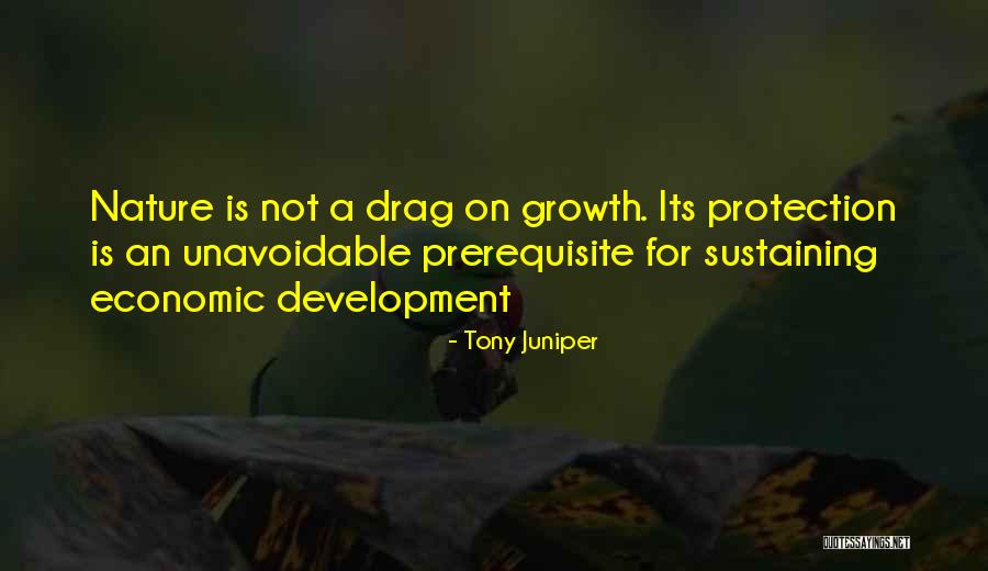 Sustaining The Environment Quotes By Tony Juniper