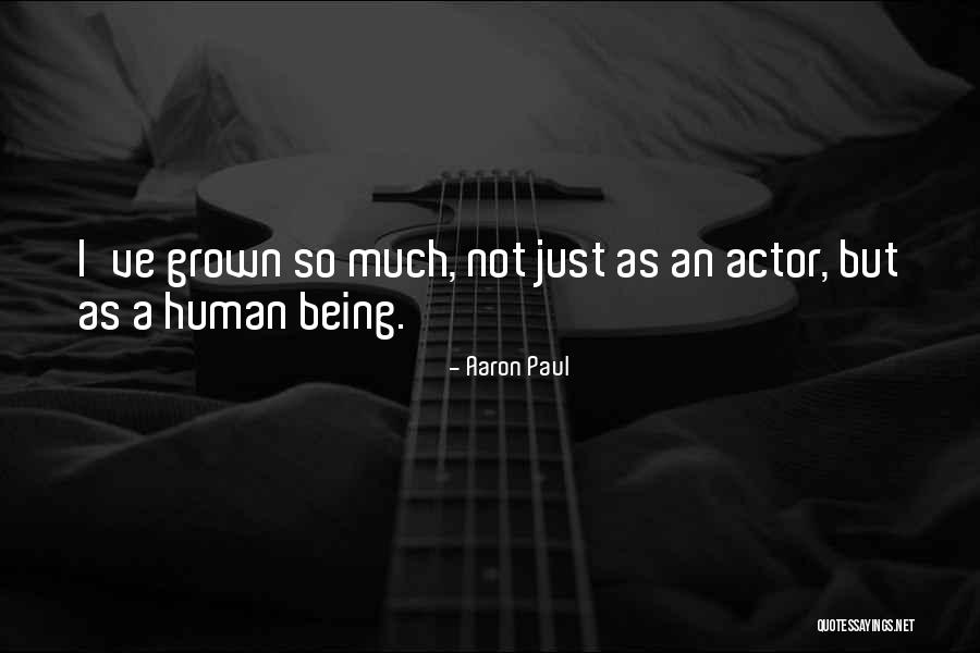 Sustancias Quotes By Aaron Paul Sustancias Quotes By Aaron Paul