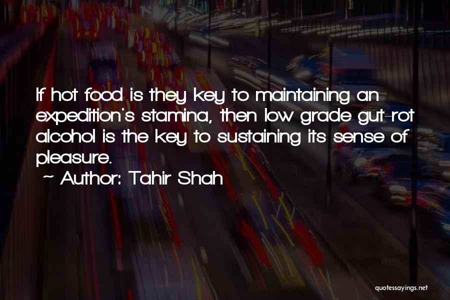 Sustenance Quotes By Tahir Shah