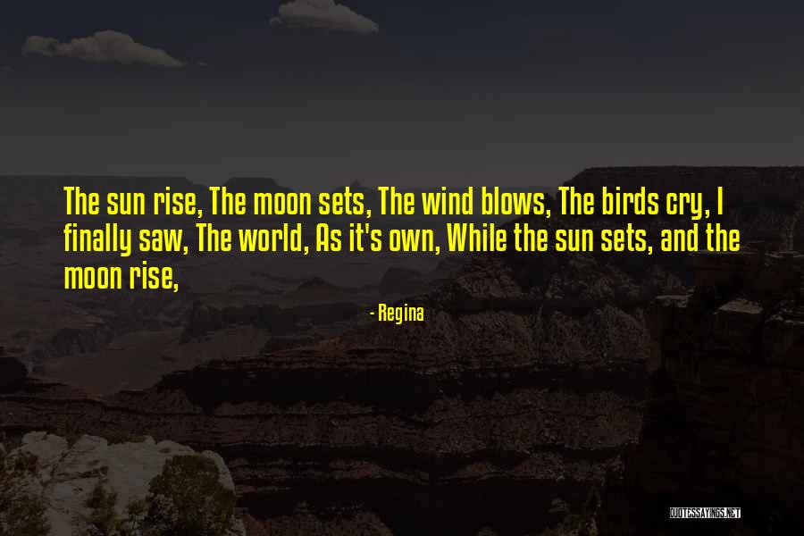 Sustituir Cara Quotes By Regina Sustituir Cara Quotes By Regina