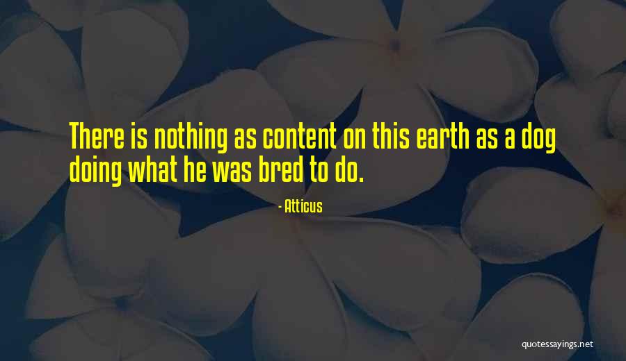 Susturan Quotes By Atticus Susturan Quotes By Atticus