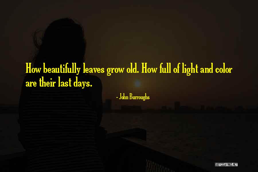 Susuko Kana Quotes By John Burroughs Susuko Kana Quotes By John Burroughs