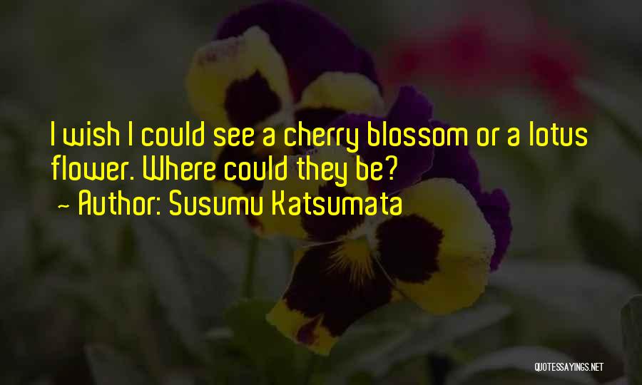 Susumu Katsumata Quotes 2079827
