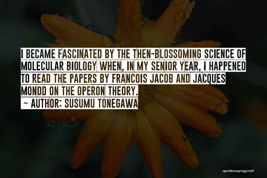 Susumu Tonegawa Quotes 1454647