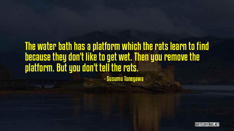Susumu Tonegawa Quotes 290570 Susumu Tonegawa Quotes 290570