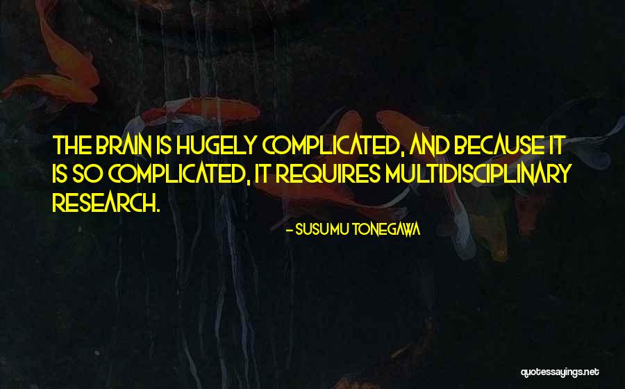 Susumu Tonegawa Quotes 973184