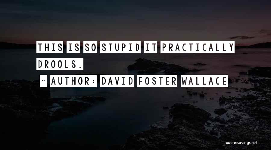 Susyn Van Quotes By David Foster Wallace