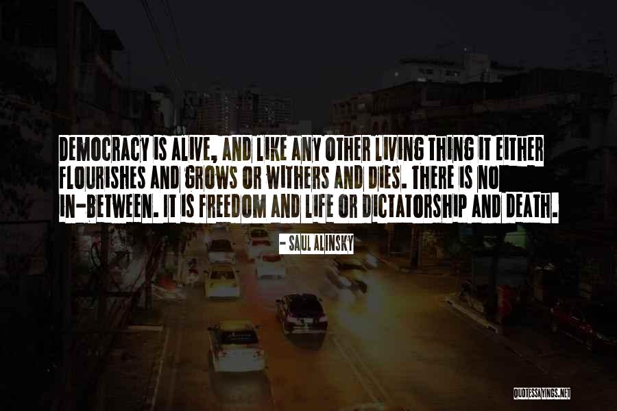 Sutej In Oklahoma Quotes By Saul Alinsky Sutej In Oklahoma Quotes By Saul Alinsky