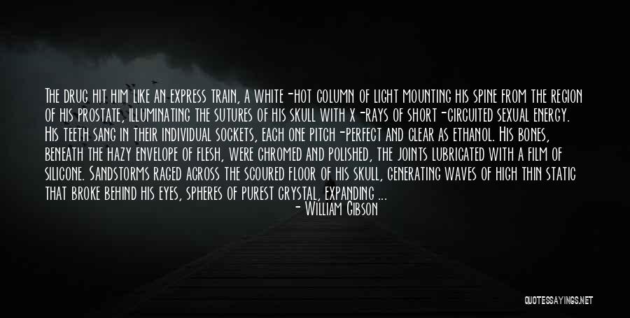 Sutures Of The Skull Quotes By William Gibson Sutures Of The Skull Quotes By William Gibson