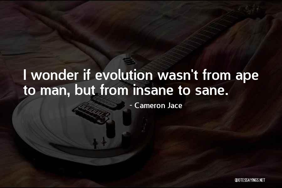 Suurtje Quotes By Cameron Jace