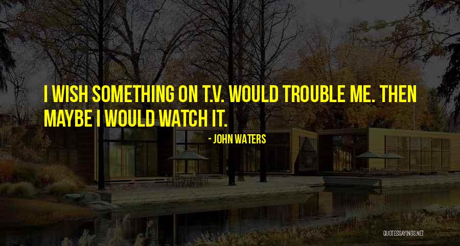 Suusaliit Quotes By John Waters Suusaliit Quotes By John Waters