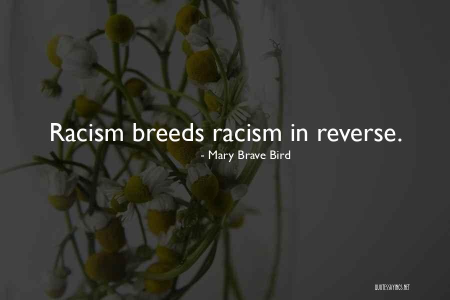 Suvidha Grocery Quotes By Mary Brave Bird Suvidha Grocery Quotes By Mary Brave Bird