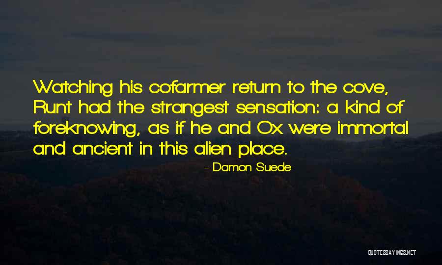 Suwalski Cheese Quotes By Damon Suede Suwalski Cheese Quotes By Damon Suede