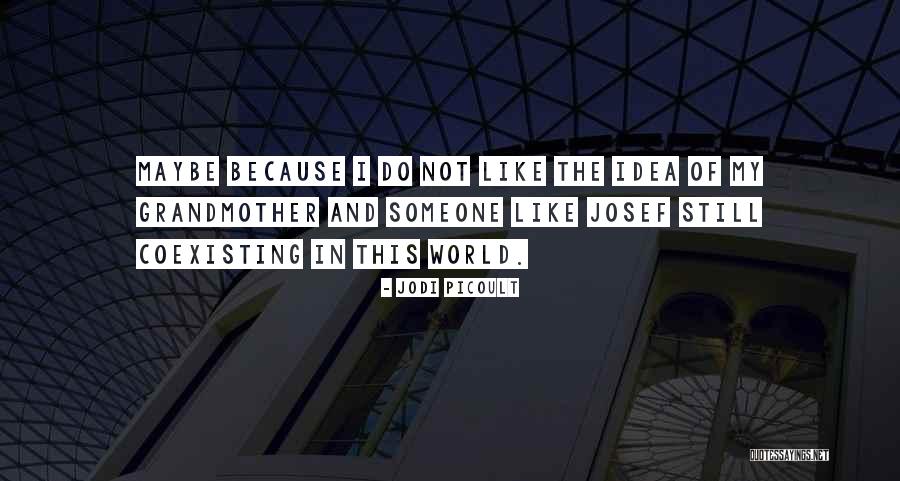 Suyasin Quotes By Jodi Picoult Suyasin Quotes By Jodi Picoult