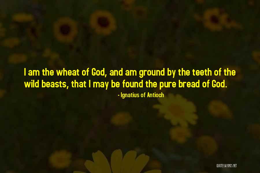 Suzanna Arundhati Roy Quotes By Ignatius Of Antioch