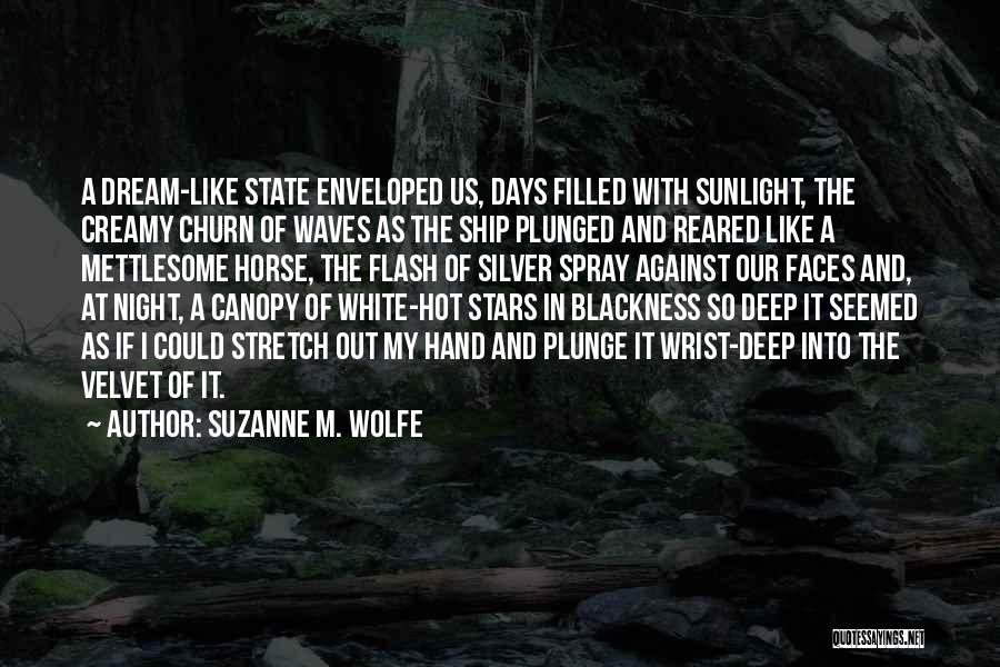 Suzanne M. Wolfe Quotes 350909