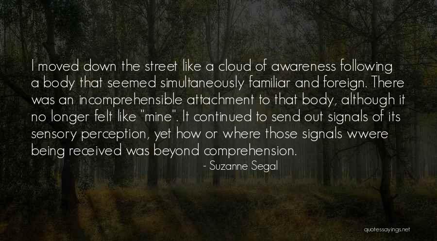 Suzanne Segal Quotes 1700922 Suzanne Segal Quotes 1700922