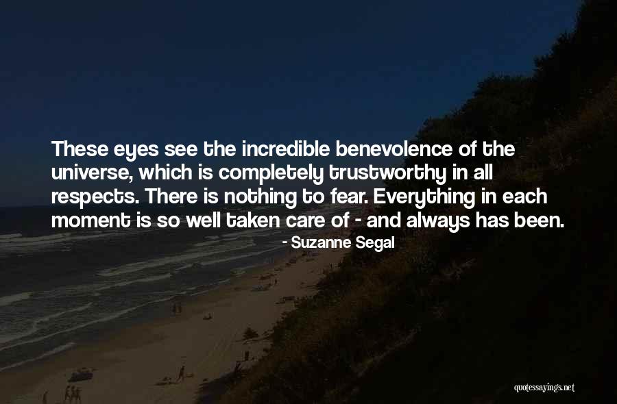 Suzanne Segal Quotes 1738750