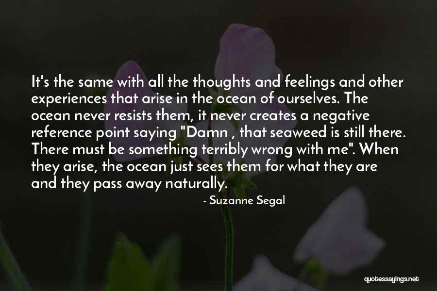 Suzanne Segal Quotes 1973486 Suzanne Segal Quotes 1973486