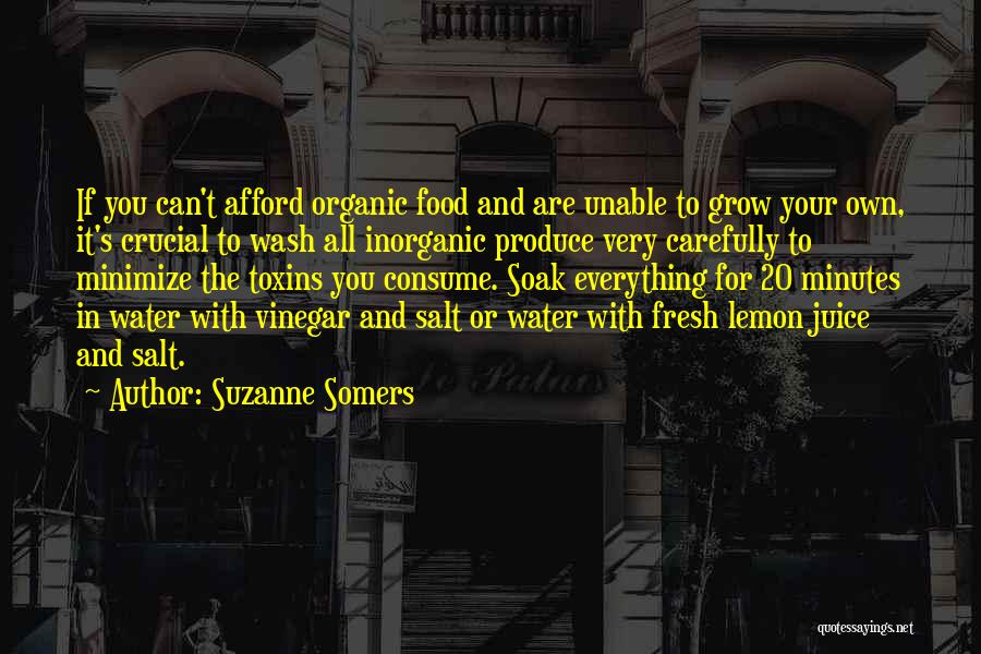 Suzanne Somers Quotes 1509483