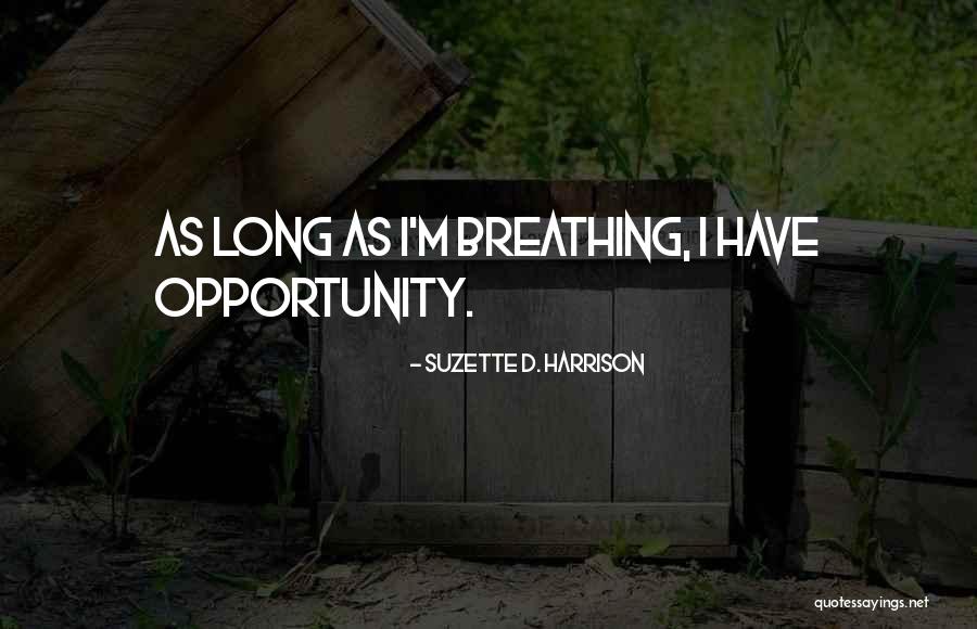 Suzette D. Harrison Quotes 1494133