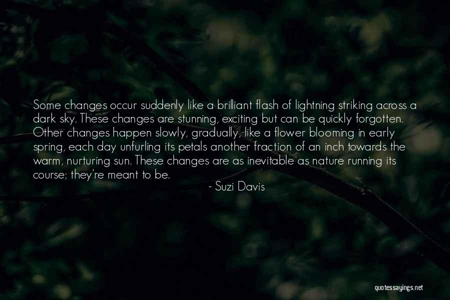 Suzi Davis Quotes 191529