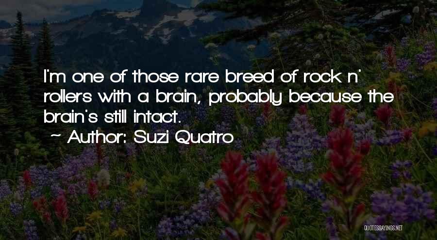 Suzi Quatro Quotes 2086063