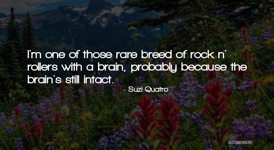 Suzi Quatro Quotes 2086063 Suzi Quatro Quotes 2086063
