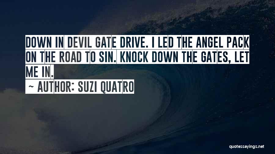 Suzi Quatro Quotes 2153675