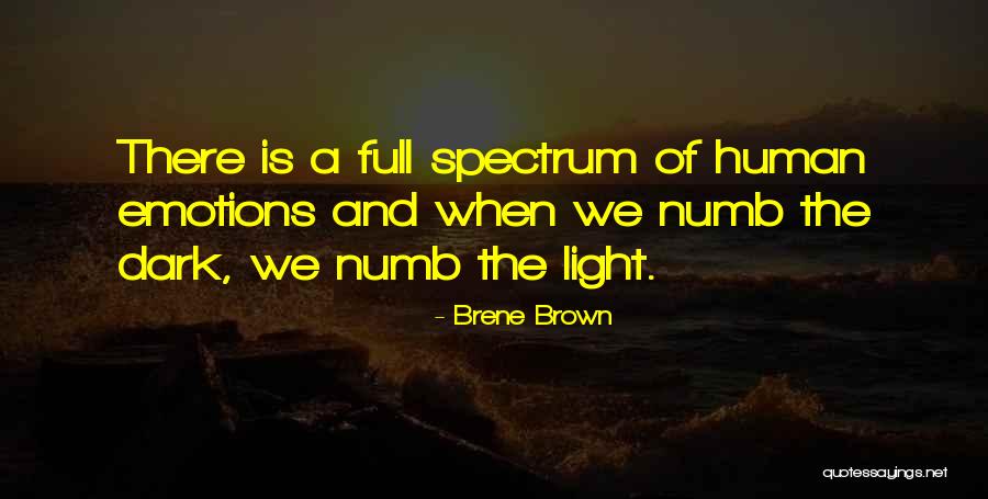 Suzie Daily Quotes By Brene Brown