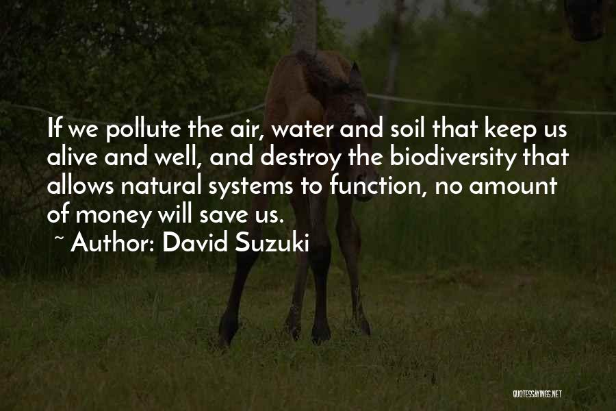 Suzuki Quotes By David Suzuki